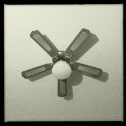 leland black and white ceiling fan